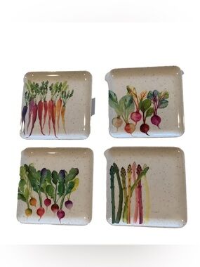 The Farmhouse Rachel Ashwell Vegetable Appetizer Melamine Plates 4 New